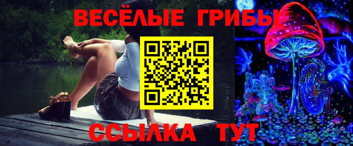 Псилоцибиновые грибы мухоморы  как найти закладки  Чебаркуль  Вход с VPN  Галлюциногенные грибы мухоморы 